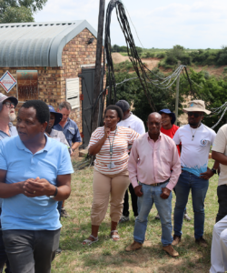 2024 National Water Week Regional Science Schools Competition (Crocodile)